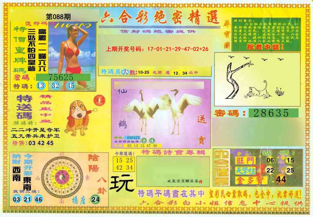 088期绝密精选A[图]